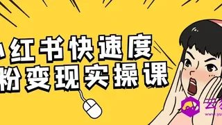 小红书快速度涨粉变现实操课