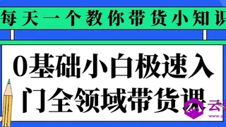 0基础小白极速入门全领域带货课 0基础小白极速入门全领域带货课