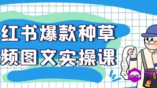 小红书爆款种草视频图文实操课