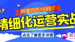 阿里巴巴1688精细化运营实战