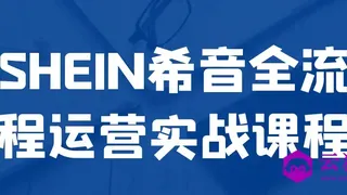 SHEIN希音全流程运营实战课程