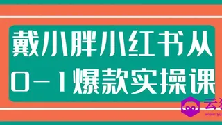 戴小胖小红书从0-1爆款实操课