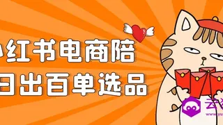 小红书电商陪跑日出百单选品