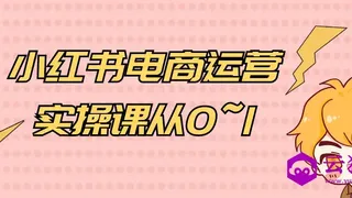 小红书电商运营实操课从0~1