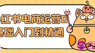 小红书电商运营0基础入门到精通