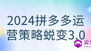 2024拼多多运营策略蜕变3.0