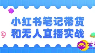小红书笔记带货和无人直播实战