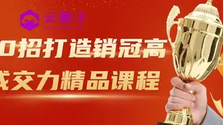 30招打造销冠高成交力精品课程