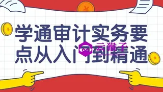 学通审计实务要点从入门到精通课