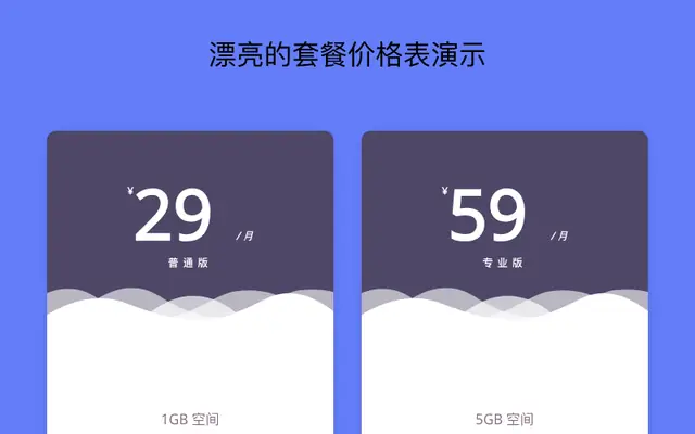 漂亮的套餐价格表演示