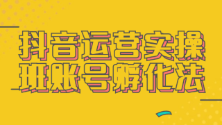 抖音运营实操班账号孵化法